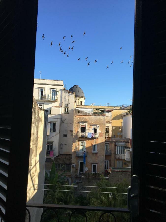 Apartament Le Rondini Della Pietrasanta Neapol Zewnętrze zdjęcie